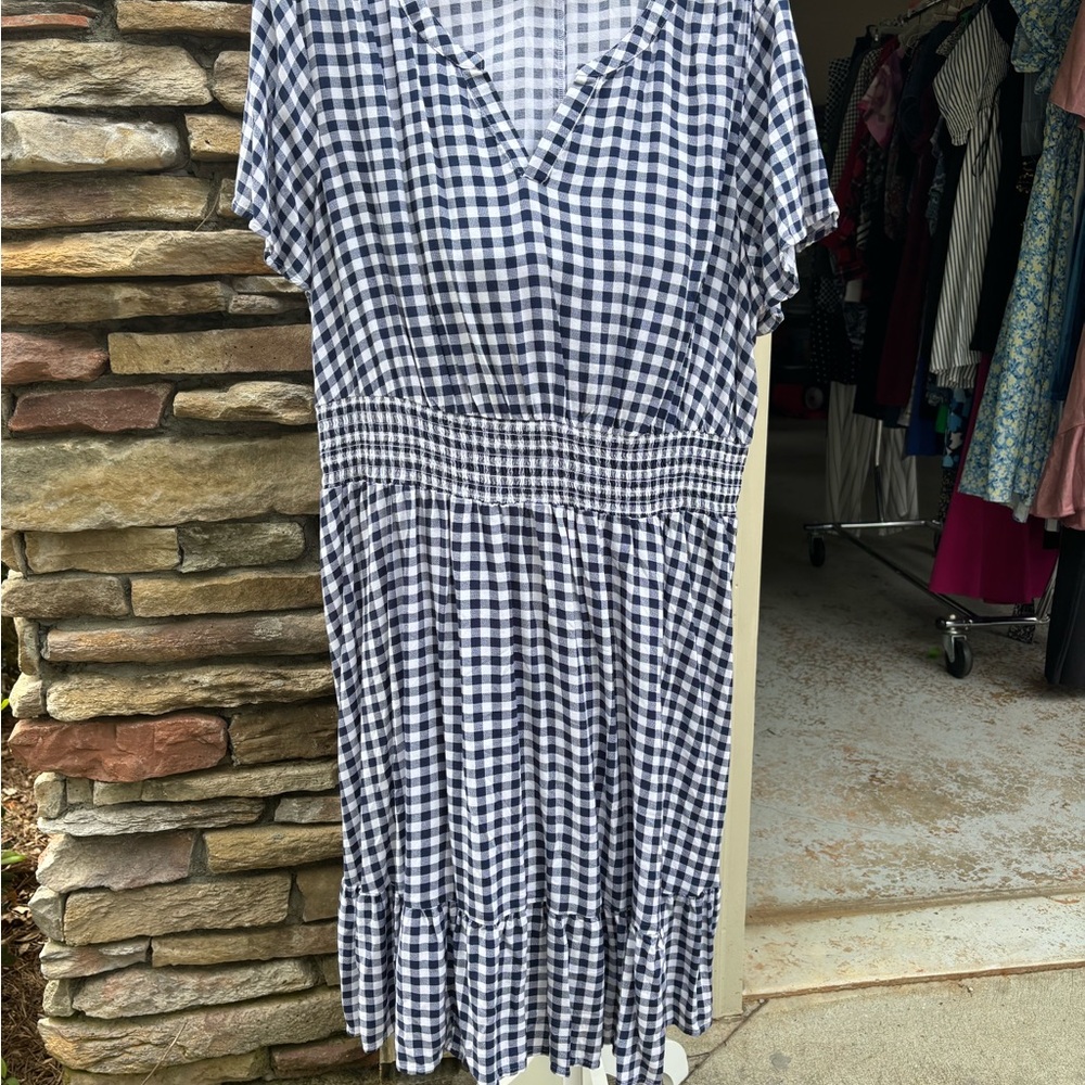 Blue and White Gingham Dress - Picture 2 of 5